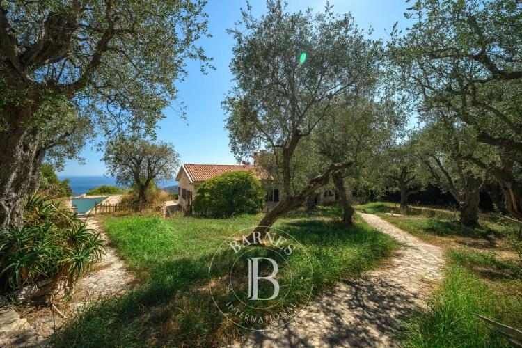 VILLEFRANCHE-SUR-MER - VINAIGRIER - TERRAIN 2 530 M² - VUE MER ET CAP-FERRAT