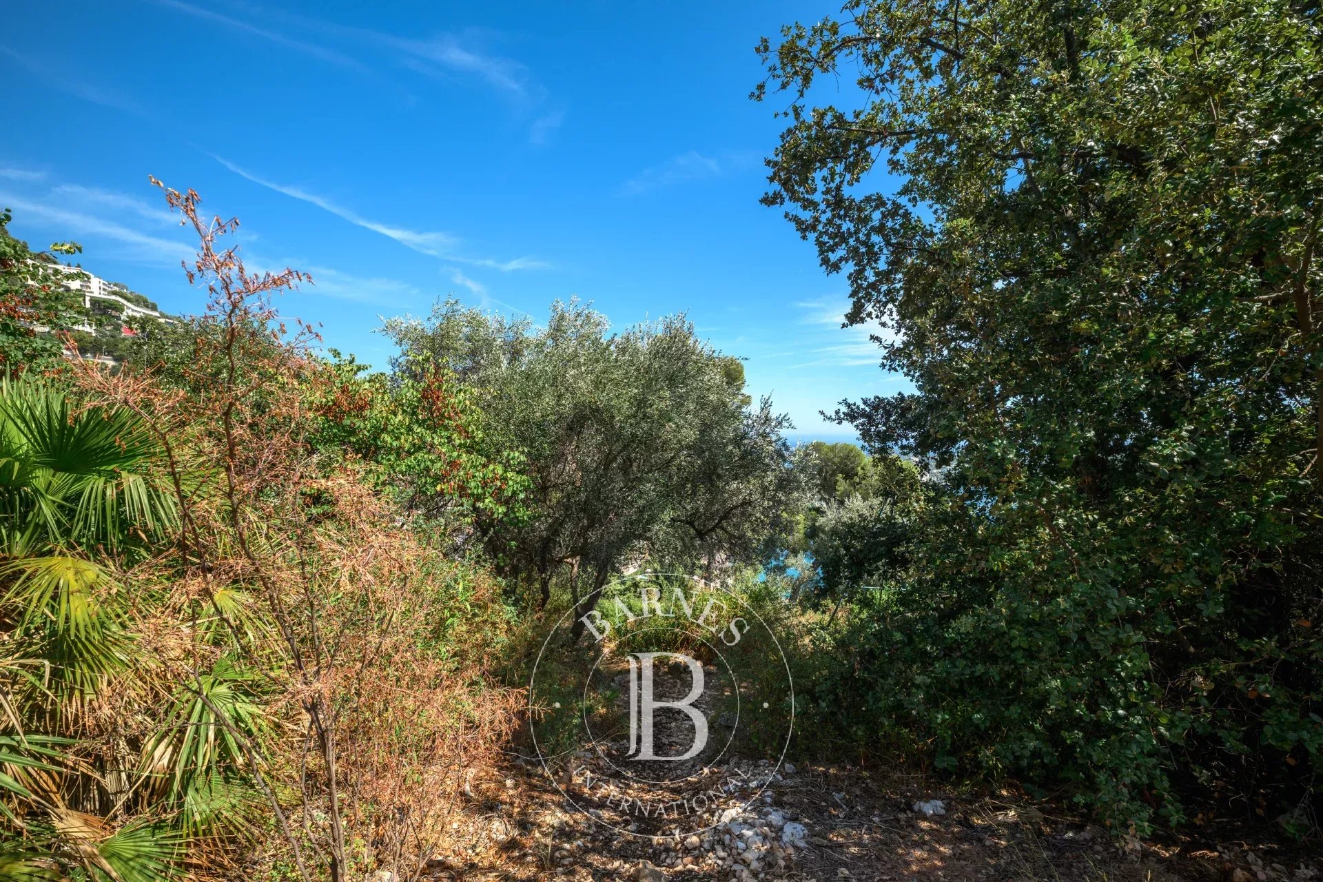 VILLEFRANCHE-SUR-MER - TERRAIN CONSTRUCTIBLE DE 1 750 M² - VUE PANORAMIQUE SUR LA BAIE